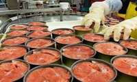 Iran exports over 3,300 tons of canned fish in 5 months