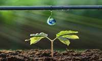 Traditional horticultural methods no longer effective, official warns