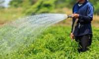 FAO boosts Iranian experts’ knowledge of agricultural water saving and water productivity