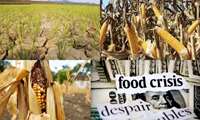 FAO and WFP warn of looming widespread food crisis as hunger threatens stability in dozens of countries