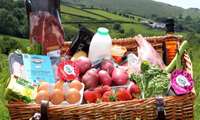 Iran's food self-sufficiency has been reached to 81%