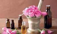 Iran exports 6 tons of rose essences, products: Official
