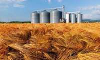 Iran total grain storage capacity largest in Mideast: Report