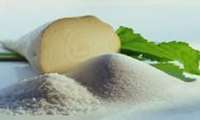 30,000 ha of land to go under sugar beet cultivation in new crop year