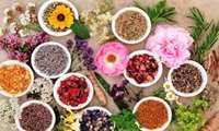 Development of cultivation of medicinal plants in an area of 40,000 hectares in 2022