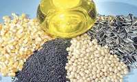 Iran announces plan to expand area under oilseed cultivation
