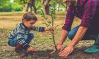 One Billion Trees Program to produce 4m tons of oxygen annually, official says