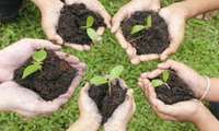 Iran to plant 1 billion trees to reduce carbon emissions