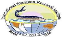 Researchers in the Genetics and Biotechnology Department of the ‎ISRI successfully cryopreserved 500 ml sperm of two farmed ‎ Huso huso sturgeon