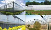 Iran plans to set up 150,000 ha of new greenhouses
