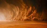 FAO calls for global action to combat dust storms at intl. conference in Tehran