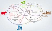Knowledge-based agricultural production and marketing in the country