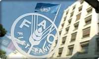Iran working with FAO and US on major soil project