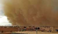 Official calls for concreted efforts to counter sand, dust storms