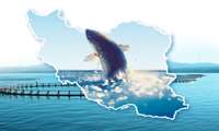 Fishery exports increase 32 percent in 5 months on year