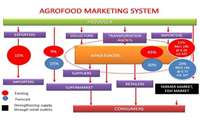 The Role of Cooperatives in Iran's Agricultural Market