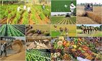 Ministry buys over 4m tons of agro products under guaranteed purchase mechanism