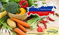 Iran delivers over 4,700 tons of Iran greenhouse products to Russia in 3 months