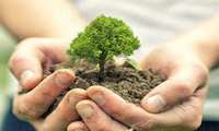 Inauguration of 863 Projects in the Natural Resources Week