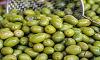 Formation of National Olive Waste Management in Iran