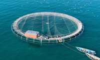 Iran launches its largest mobile fish farm in Golestan province