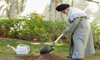 Leader plants sapling to mark Tree Plantation Day