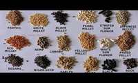 Over 3m kg of seed species imported into Iran in 5 months