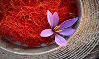 Saffron Organization with the acronym of OSEC
