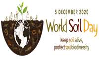 WORLD SOIL DAY 2020