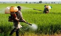 Consumption of toxins is reached its minimum value in IRAN
