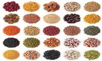 Iranian research institute develops 27 new seeds