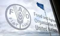 FAO shares international expertise and knowledge with Iran in Early Warning Early Action systems