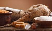 Iran sees major surge in sugar beet production; over 6.7m tons produced
