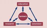 600 agricultural knowledge-based firms active in Iran