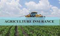 Iran can become a regional hub for agro products insurance, official says