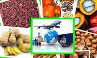 Iran among world leading agricultural producers:FAO