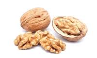 Iran's access to the technology of walnut seed tissue production
