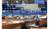 I.R.Iran and OGM- Turkey held a Webinar on Turkey's Experience in Fighting Catastrophic Forest Fires