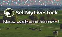 Marketplace website in the sale of livestock products