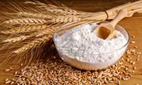 830 thousand tons of wheat, surplus on the needs of farmers, have been purchased from them