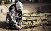 Iran, Near Eastern countries discuss responses to COVID-19 and expanding mutual coordination during FAO Regional Conference