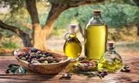 Production of 11,600 tons of olive oil in the country