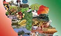 23% growth in crop production in the last 5 years in IRAN