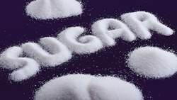 Iran supports domestic production, cuts down on sugar imports
