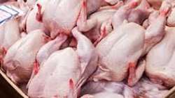 Chicken exports reach 1,000 tons in 2 months