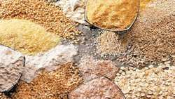 Iran boosts cereal exports amid domestic consumption rise