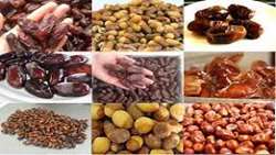  Iran world second-largest date producer