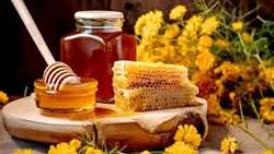 Iran honey exports reach $5.6 million annually