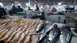 Iran seeks investment to boost aquaculture industry