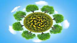 Public participation key to expanding Iran green cover